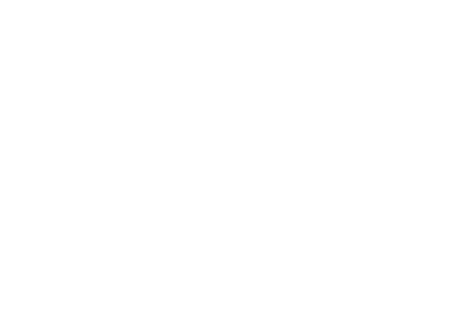 AMIR Fund